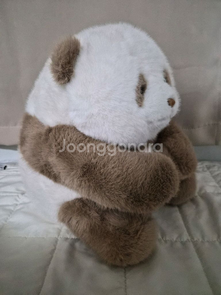 치짜이 베이징 갈색 팬더 인형--4