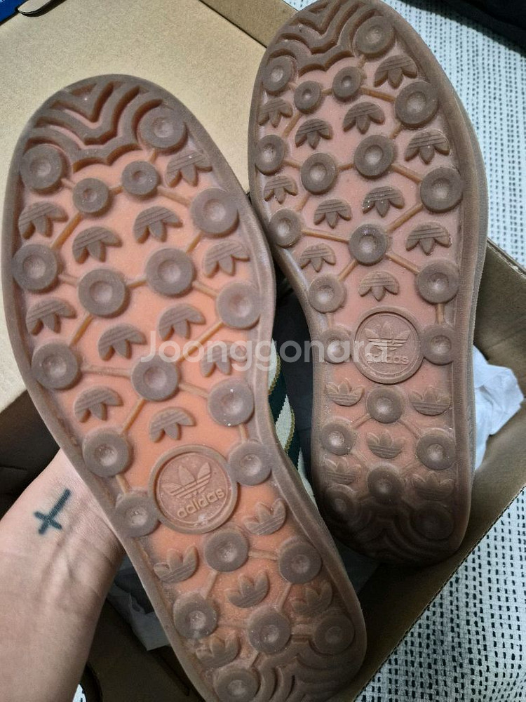 아디다스 가젤 볼드 235 그린 색상--2