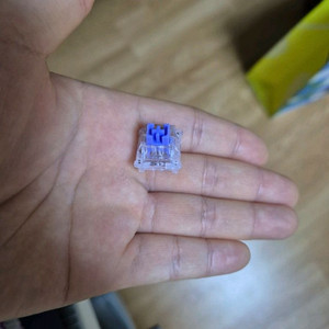 하이무 저소음 딥블루 스위치 50개