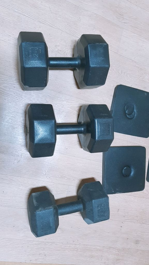 직거래) 실내자전거, 고무육각아령 12kg 이미지