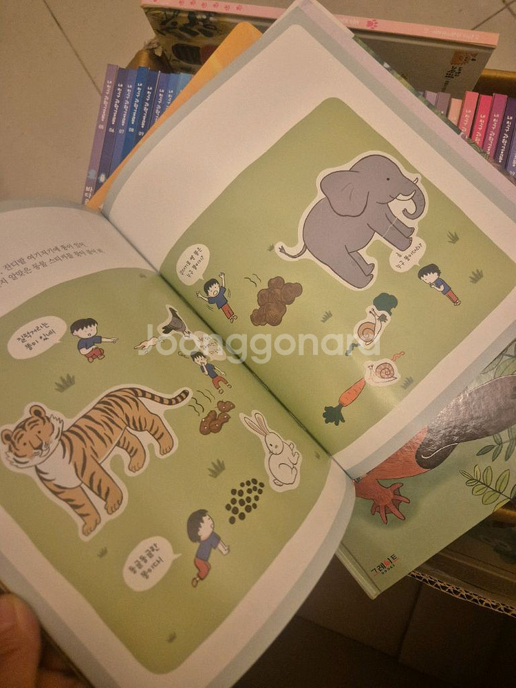 내친구 과학공룡 개정판 53권--4