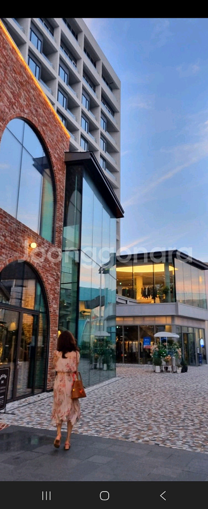 바네사브루노 아떼 원피스--6