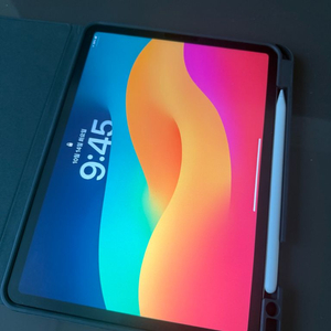 아이패드 프로 11, 4GEN, WIFI, 256GB