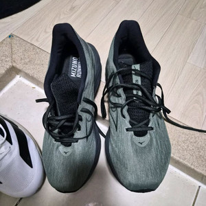 미즈노 웨이브 라이더 28 (295)