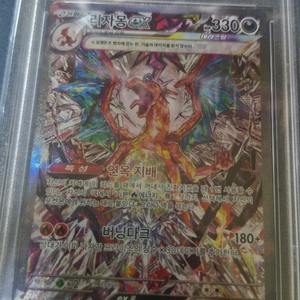 흑염리자몽 카드