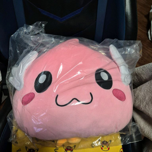 라그나로크 엔젤링 가방