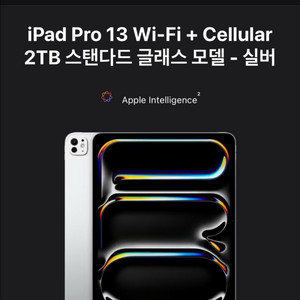 애플 아이패드 프로 13 M4 셀룰러 2TB 애케플