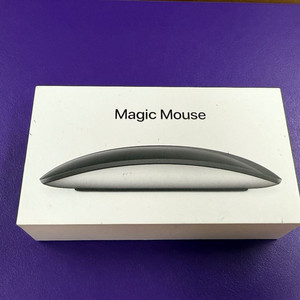 애플 매직마우스2