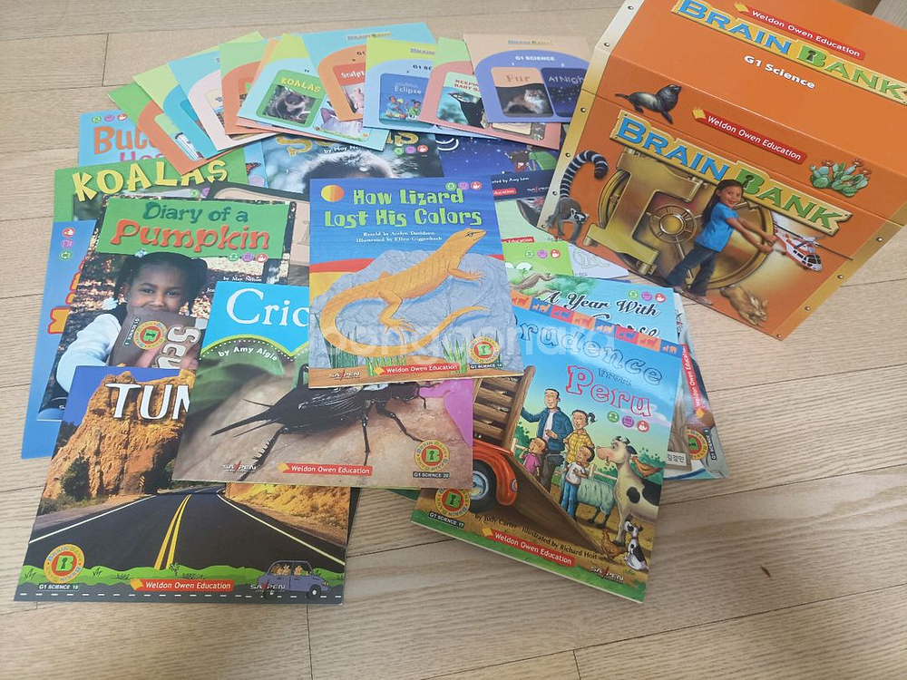 플라이가이즈, 영어사전--1