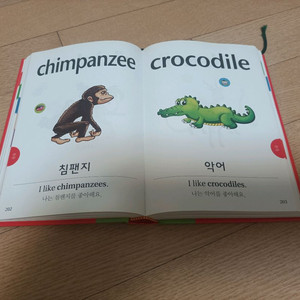 플라이가이즈, 영어사전