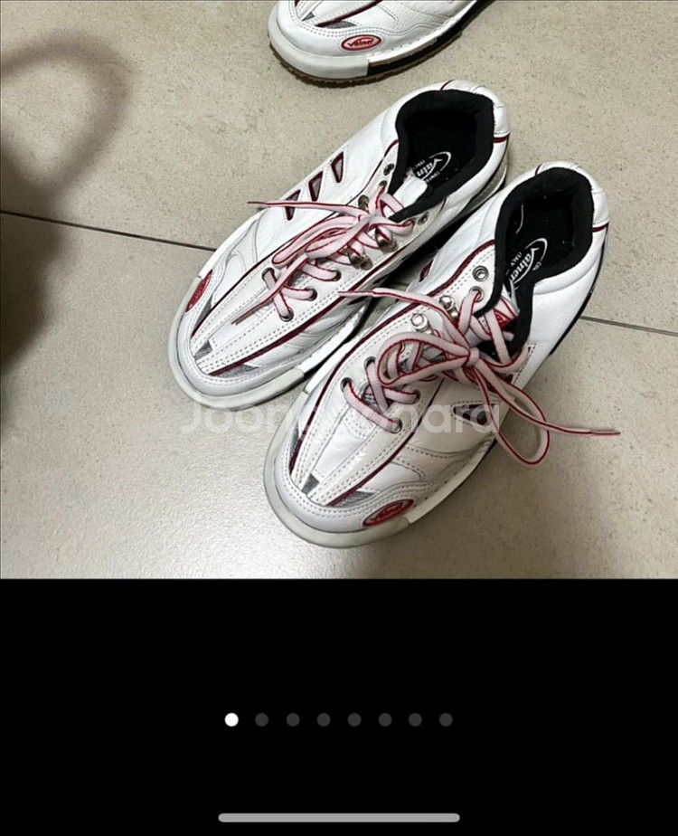 남자 바이네르 볼링화 / 캐리어증정 (최저가19만)--0