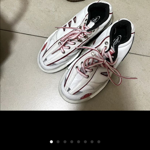 남자 바이네르 볼링화 / 캐리어증정 (최저가19만)