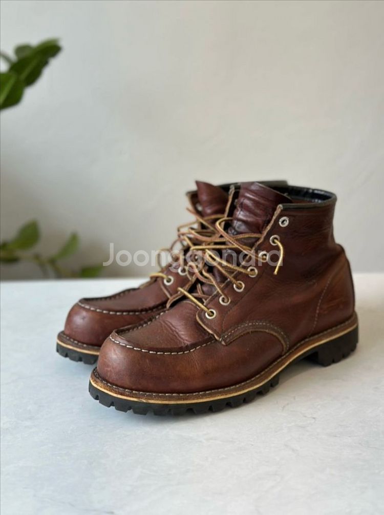 (소장가치) 레드윙 로고각인 8138 270mm us9--1