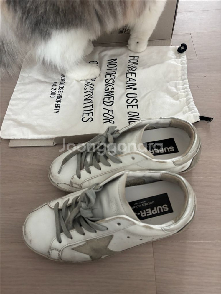 골든구스 실버탭--0