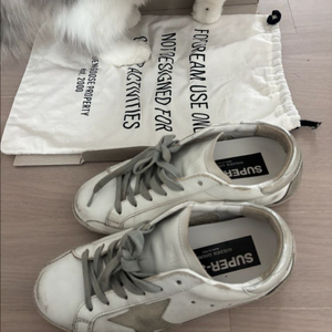 골든구스 실버탭