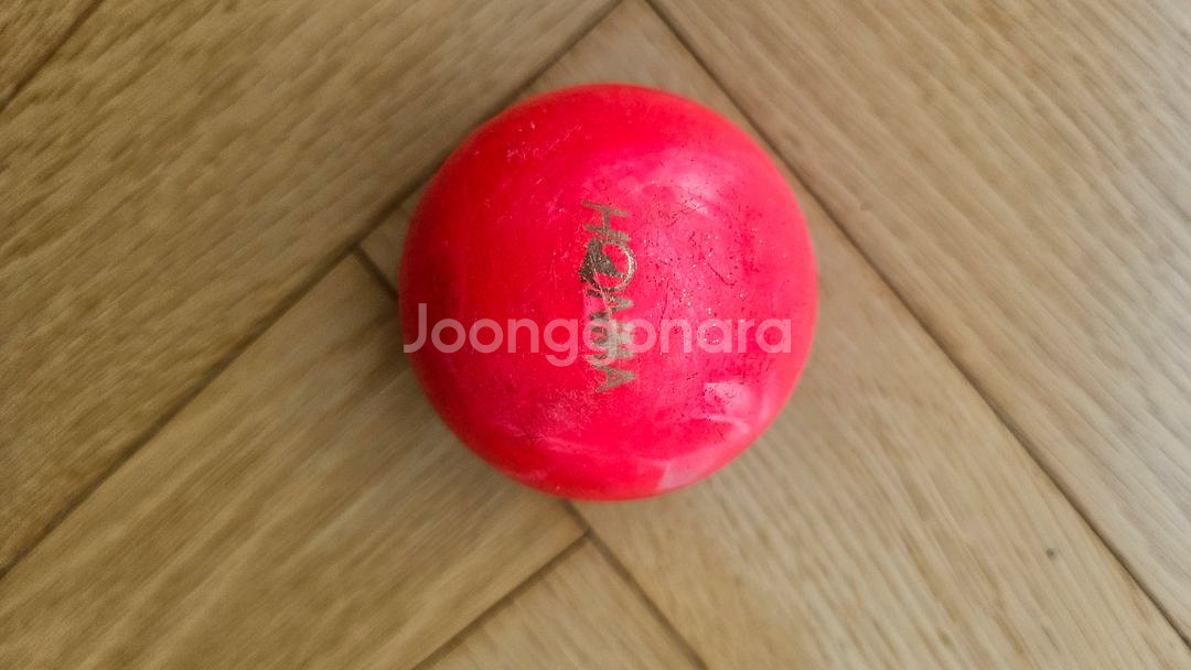 파크골프채(데이비드 DP101)--7