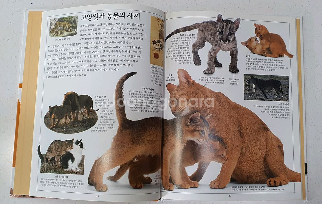 웅진 비주얼박물관 전집 책--3
