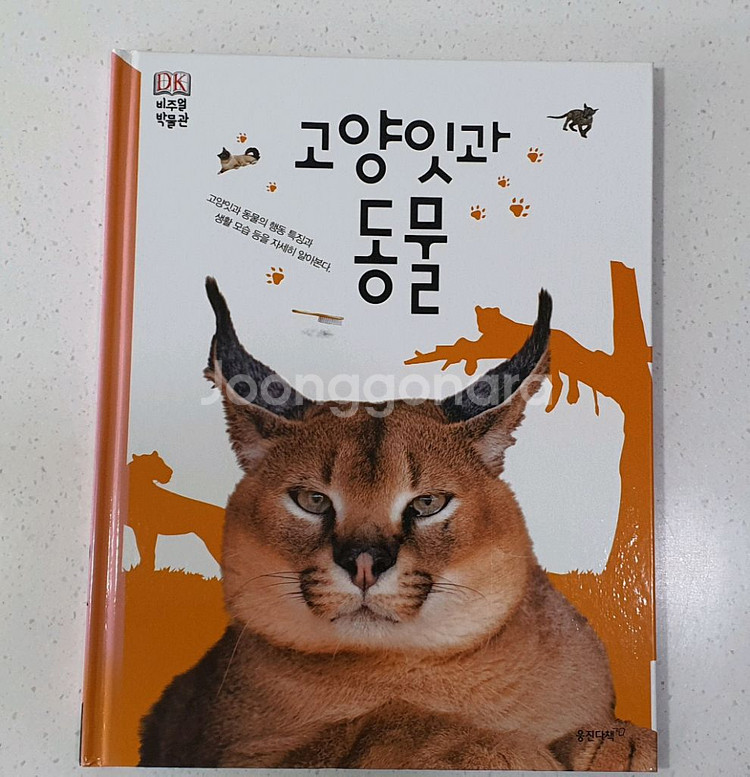 웅진 비주얼박물관 전집 책--2