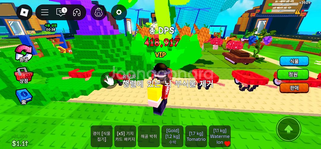 식물대브레인롯 초대형 네온 토마토 407k--0