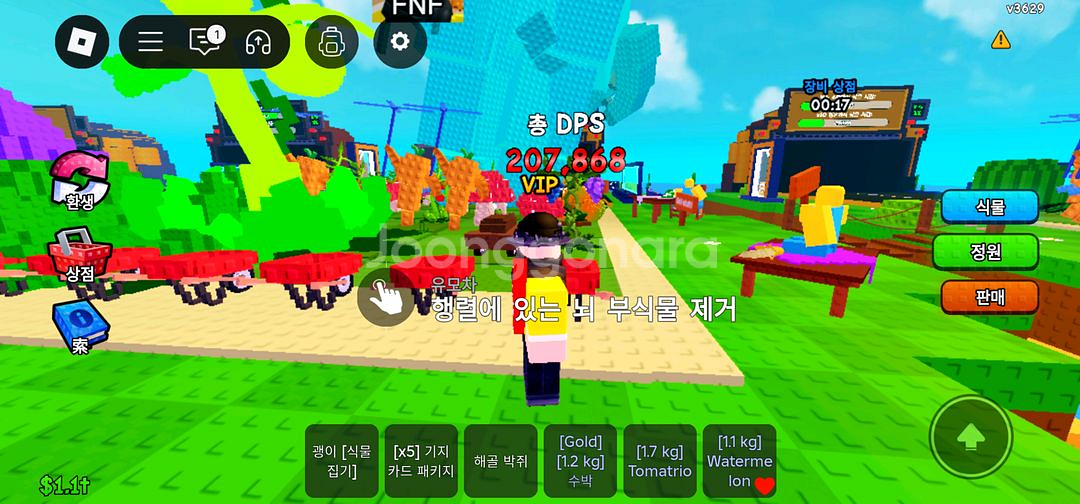 식물대브레인롯 초대형 네온 토마토 407k--1