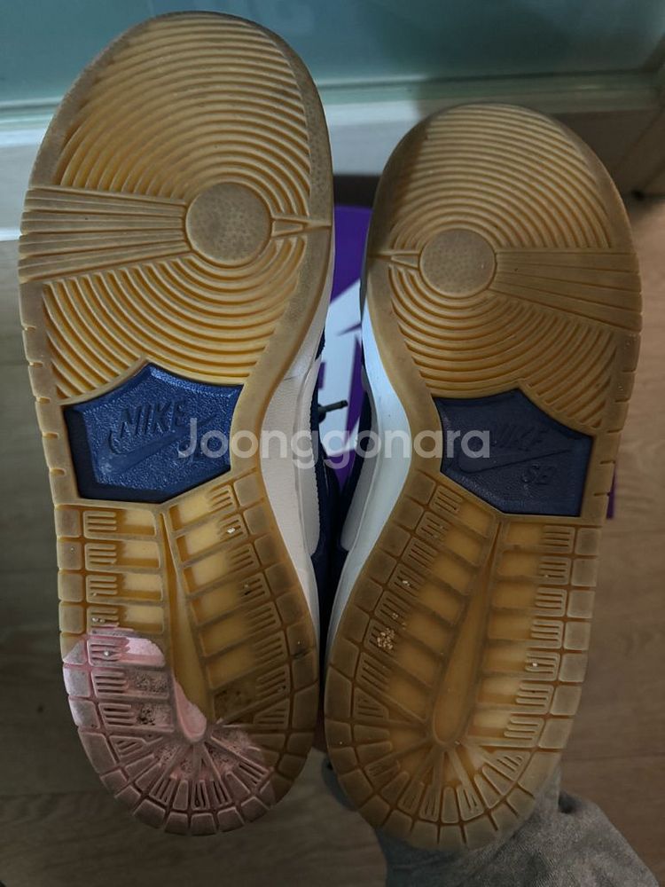 265 나이키 덩크sb 로우 딥 로얄 블루--4