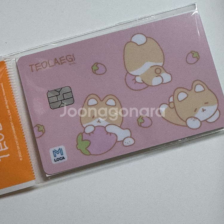 [미개봉] 백현 터래기 교통카드--0