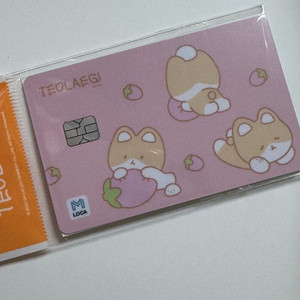 [미개봉] 백현 터래기 교통카드