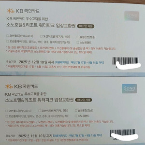 소노호텔 오션월드 워터파크 입장교환권 2매(4인)