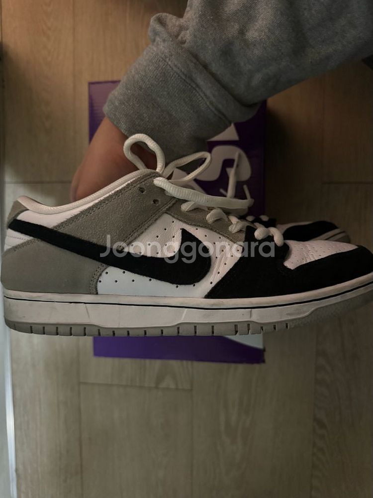 265 나이키 덩크sb 로우 클로로필--0