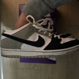 265 나이키 덩크sb 로우 클로로필