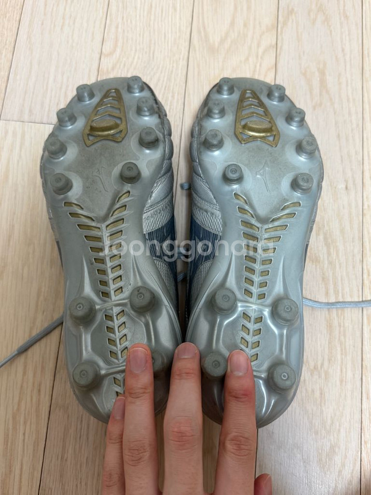 모렐리아 네오4 베타 엘리트 255--1