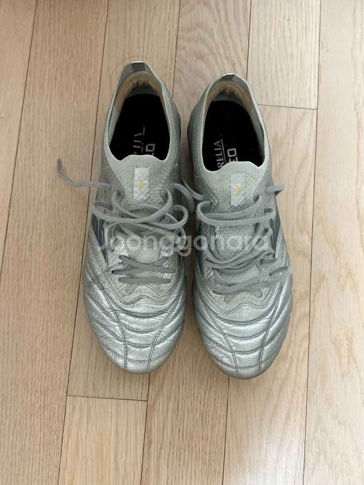 모렐리아 네오4 베타 엘리트 255--0