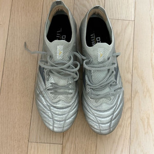 모렐리아 네오4 베타 엘리트 255