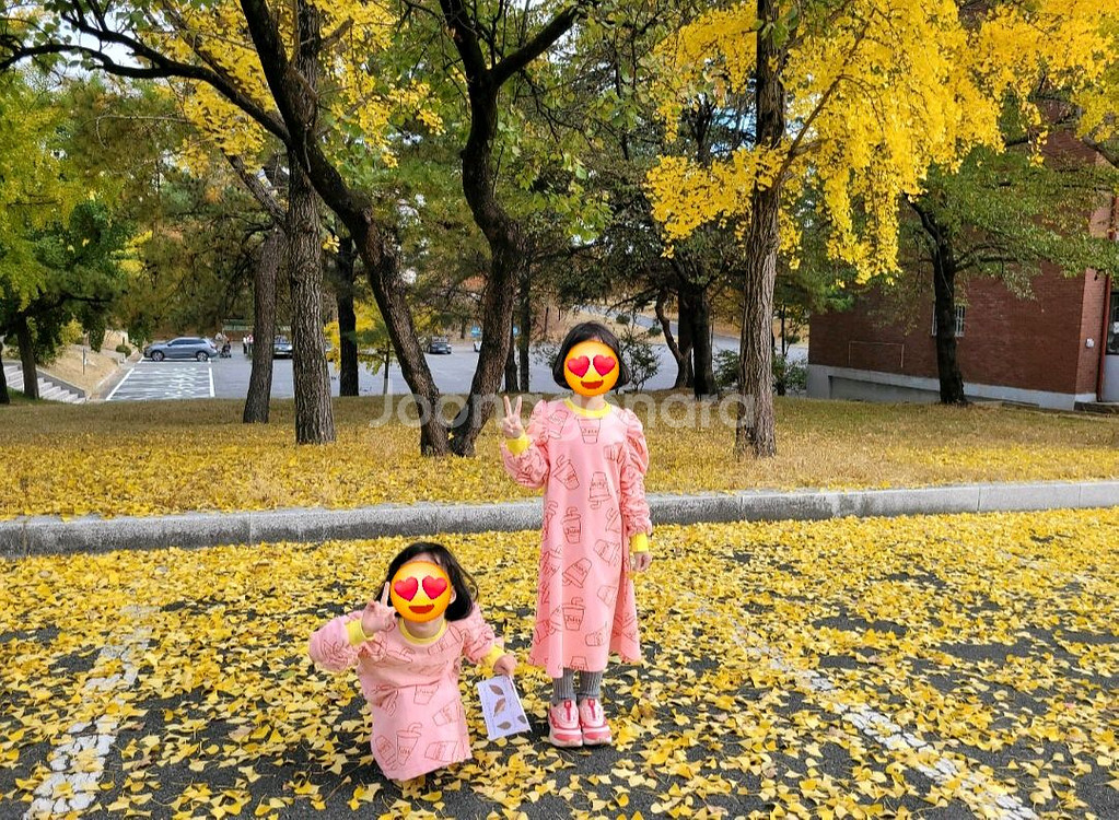 베베베베 쥬시 / 토끼 원피스 + 착용샷 자매룩쌍둥이룩--1
