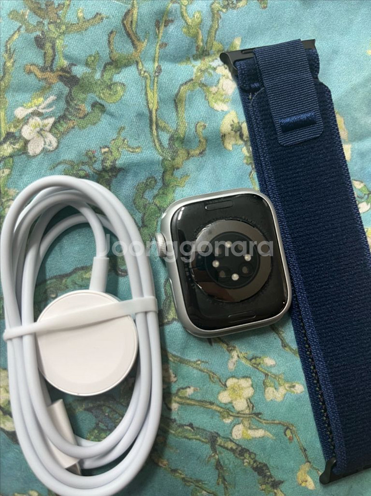 애플워치8셀룰러 41mm 실버 SS급--1