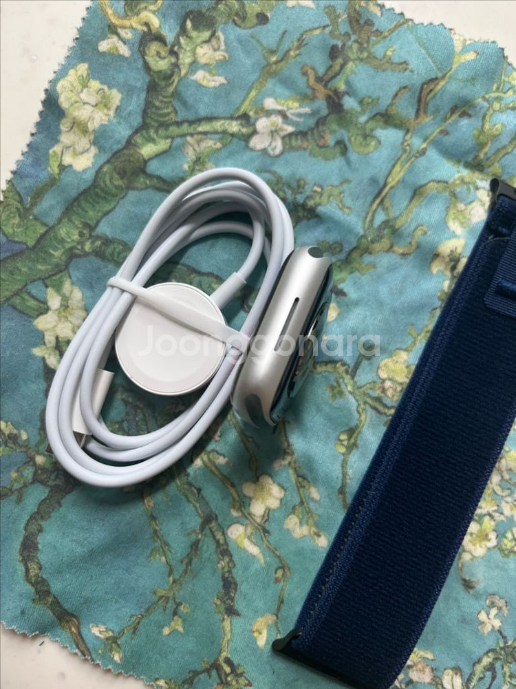 애플워치8셀룰러 41mm 실버 SS급--4