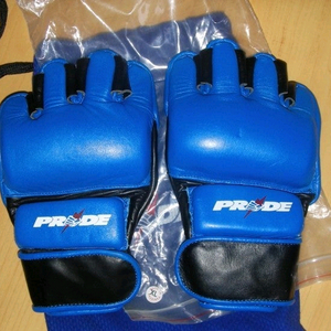 추억의 프라이드fc , 스피릿mc 글러브 구합니다!!