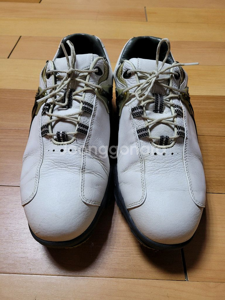 풋조이 드라이조이 남성 골프화(265~270mm)--0