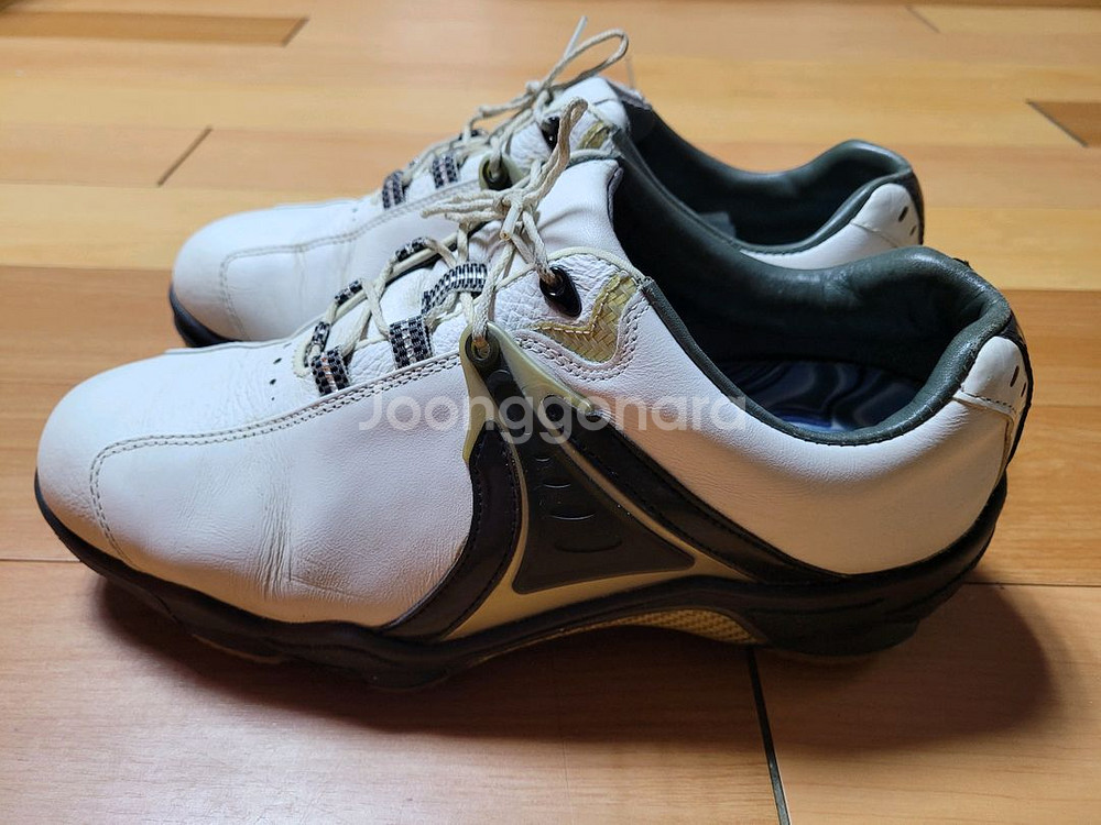 풋조이 드라이조이 남성 골프화(265~270mm)--1