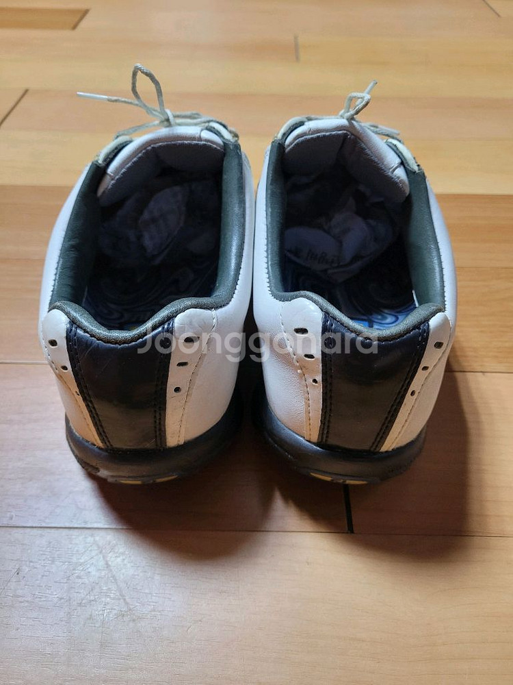 풋조이 드라이조이 남성 골프화(265~270mm)--2