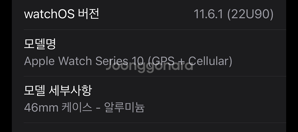 애플워치10 셀룰러 46mm 제트블랙 애플케어플러스--2