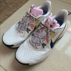 255 나이키 페가수스 트레일5