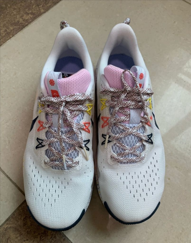 255 나이키 페가수스 트레일5--2