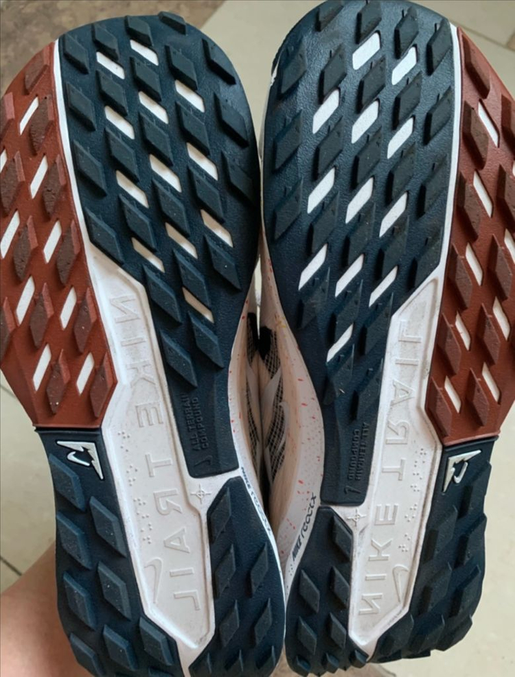 255 나이키 페가수스 트레일5--3