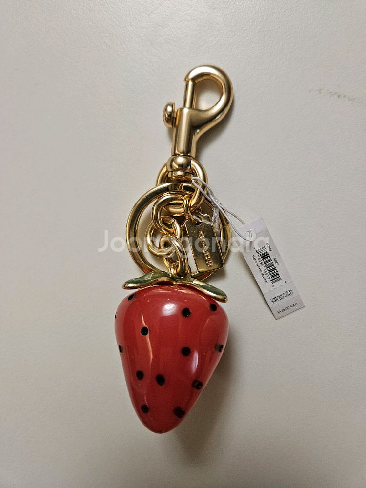 코치 가방 참장식 키홀더 백참--0