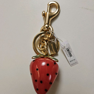 코치 가방 참장식 키홀더 백참