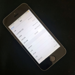 [무음] 아이폰 5S 스그 16GB (DX3R1)
