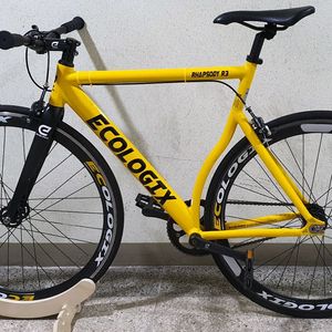 에콜로직스 r3 랩소디 이미지