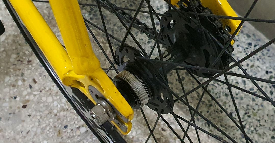 에콜로직스 r3 랩소디 이미지