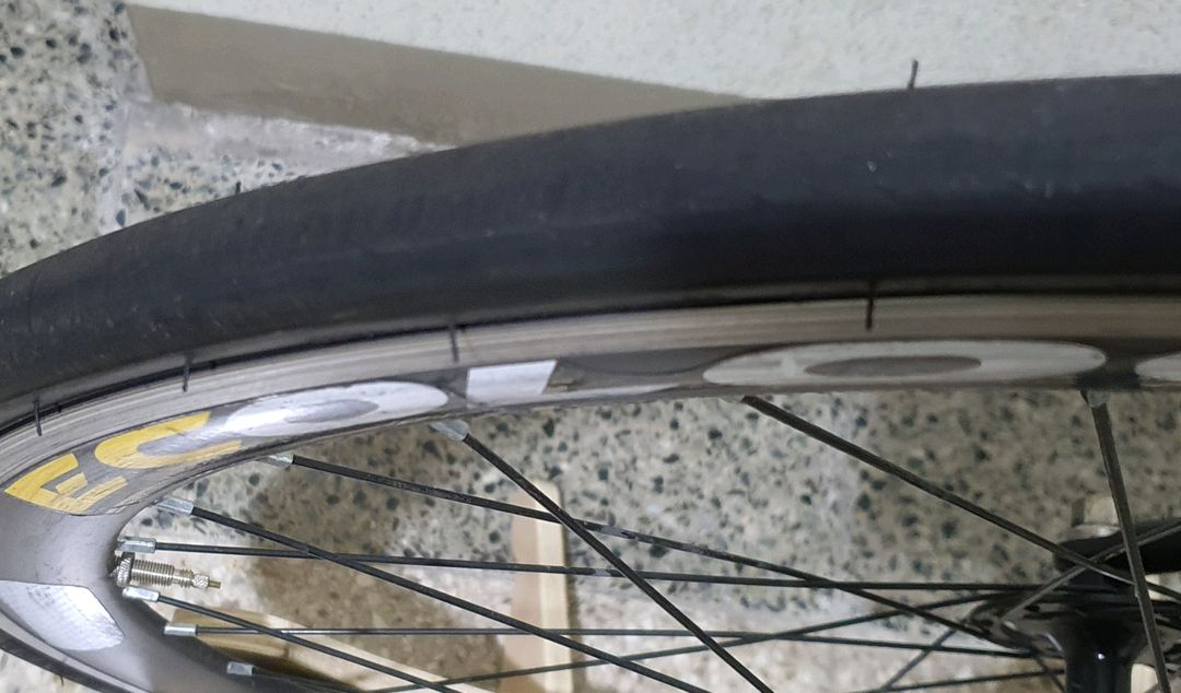 에콜로직스 r3 랩소디 이미지